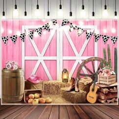 Pink Barn Backdrop