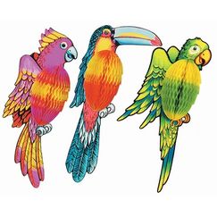 3D Exotic Tropical Bird - Each